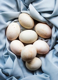 Closeup of fresh organic duck eggs