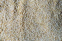 Sesame seed close-up photo