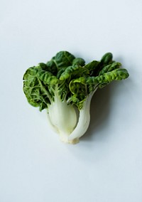 Closeup of small bok choy isolated on white