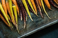 Variety of fresh edible carrots
