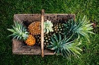 Aerial view of pineapples in wooden basket