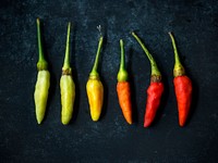Fresh chili peppers