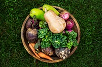 Aerial view of various fresh organic vegetable in wooden bowl
