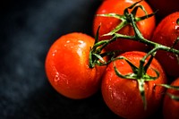 Fresh organic tomatoes on black background