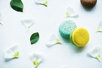 Macaroon petal and leaves isolated on background