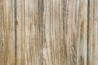 Macro shot of wood pattern wallpaper