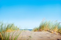 Sand Dunes with Grass on Beach