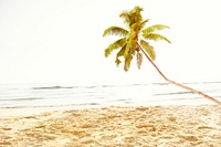 Summer Tropical Island Beach Concept