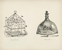 The fruit grower's guide : Vintage illustration of a wasp trap