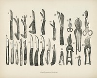 The fruit grower's guide : Vintage illustration of knives, scissors, secateurs