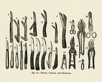 Vintage illustration of knives, scissors, secateurs digitally enhanced from our own vintage edition of The Fruit Grower&#39;s Guide (1891) by John Wright.