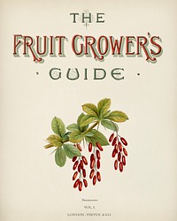The fruit grower's guide : Vintage illustration of fruit grower's guide