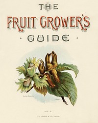 Vintage illustrations of fruits digitally enhanced from our own vintage edition of The Fruit Grower's Guide (1891) by John Wright.