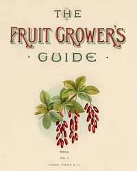 Vintage illustration of fruit grower&#39;s guide digitally enhanced from our own vintage edition of The Fruit Grower&#39;s Guide (1891) by John Wright.