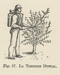 Vintage illustration of la torpille duster digitally enhanced from our own vintage edition of The Fruit Grower&#39;s Guide (1891) by John Wright.
