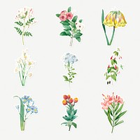 Beautiful flower sticker design resource set 