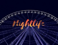 Ferris Wheel Night Amusement Attraction