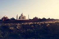 Royal Palace Cathedral Green Landscape