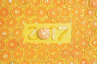 Round Orange Slices Fruit 2017 xmas