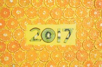 Round Orange Slices Fruit 2017 xmas