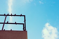 Rooftop Railings Birds Blue Sky