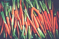 Organic carrot natural food freshness