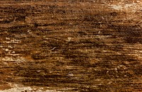 Brown Wooden Sruface Texture Background