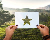 Great excellence reward perforated paper star
