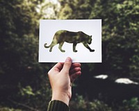 Closeup of hand holding leopard perforated paper with green nature background