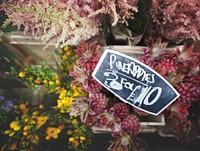 Flower Shop Blooming Bouquet Plant Marketplace