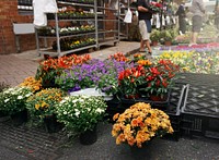 Flower street market
