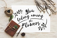 Aerial view of you belong among the flowers phrase on white paper with flowers decoration