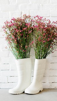 Flower phone wallpaper background, pink flowers