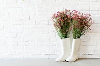 Boots Garden White Wall Concept