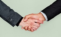 Human Hands Handshake Business Corporate Concept