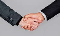 Human Hands Handshake Business Corporate Concept