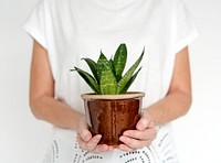 WOman holding a plant