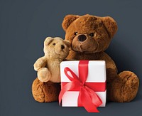 Teddy Bear Toy Present Gift