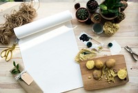 Painting Paper Cactus Plants On A Wooden Table