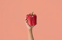 Hand holding a red bell pepper in a studio