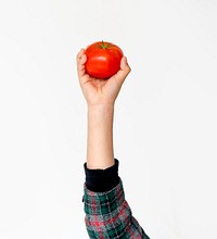 Hand Holding Tomato on White Background