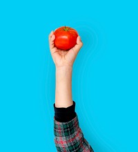 Hand Holding Tomato Isolated Concept