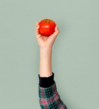 Hand Holding Tomato Isolated Concept