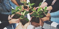 Diverse People Hands Hold Plants Nature