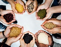 Diverse People Hands Hold Show Superfood Grains Corps