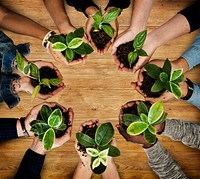 People holding plants in their hands