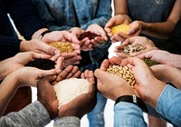 Diverse People Hands Hold Show Superfood Grains Corps