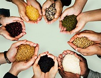 Hands with healthy organic seeds from nature product