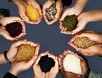 Hands with healthy organic seeds from nature product