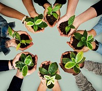 Diverse people holding plants in their hands